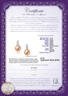  Certificato di prodotto: FW-P-AAAA-78-E-Valery