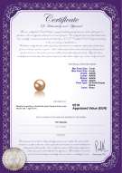  Certificato di prodotto: FW-P-AAAA-78-L1