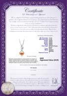 Certificato di prodotto: FW-P-AAAA-78-P-Zalina