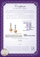  Certificato di prodotto: FW-P-AAAA-910-E-Rozene
