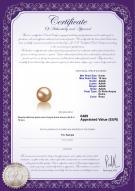 product certificate: FW-P-AAAA-910-L1