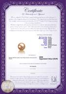  Certificato di prodotto: FW-P-AAAA-910-L1