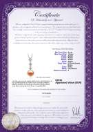 Certificato di prodotto: FW-P-AAAA-910-P-Rozene