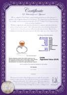  Certificato di prodotto: FW-P-AAAA-910-R-Grace