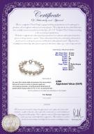 product certificate: FW-W-A-1011-B