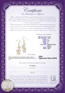 Certificato di prodotto: FW-W-A-37-E-Brisa
