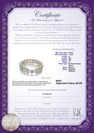 Certificato di prodotto: FW-W-A-67-B-DBL