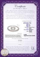  Certificato di prodotto: FW-W-A-67-S-DBL