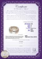 Certificato di prodotto: FW-W-A-89-B-DBL