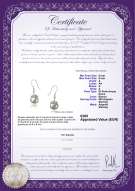 Certificato di prodotto: FW-W-A-89-E-Connor