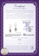 Certificato di prodotto: FW-W-A-89-E-Teresa