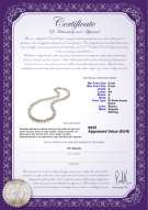 Certificato di prodotto: FW-W-A-89-N-Joyce
