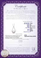 product certificate: FW-W-AA-1213-P-Triangle