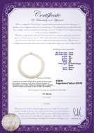 Certificato di prodotto: FW-W-AA-34-N-FIVE-ROW