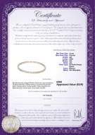 Certificato di prodotto: FW-W-AA-556-N
