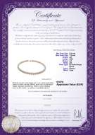 Certificato di prodotto: FW-W-AA-6575-N