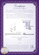 Certificato di prodotto: FW-W-AA-67-E-Mickey