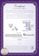 product certificate: FW-W-AA-78-E-Katie