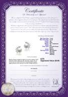 Certificato di prodotto: FW-W-AA-78-E-Marissa