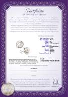 Certificato di prodotto: FW-W-AA-910-E-Kelly