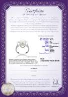 Certificato di prodotto: FW-W-AA-910-R-Katie
