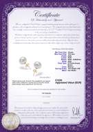  Certificato di prodotto: FW-W-AAA-10105-E