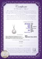 Certificato di prodotto: FW-W-AAA-1011-P-Lori