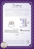 product certificate: FW-W-AAA-1112-R-Wendy