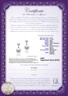 product certificate: FW-W-AAA-611-E-Zelda