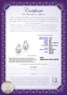  Certificato di prodotto: FW-W-AAA-78-E-Bikita