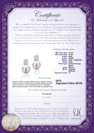 product certificate: FW-W-AAA-89-E-Alina