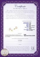 product certificate: FW-W-AAA-89-E