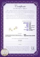  Certificato di prodotto: FW-W-AAA-89-E