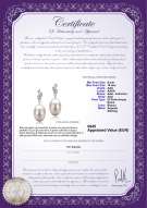 Certificato di prodotto: FW-W-AAA-910-E-Deborah