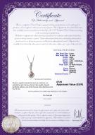 product certificate: FW-W-AAA-910-P-Clementina