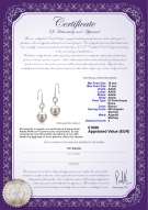 Certificato di prodotto: FW-W-AAAA-1011-E-Adelle