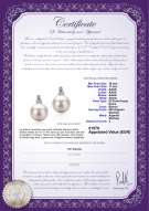 Certificato di prodotto: FW-W-AAAA-1011-E-Hailey