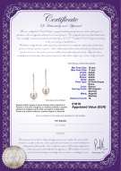  Certificato di prodotto: FW-W-AAAA-1011-E-Porsha