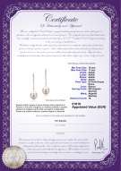 product certificate: FW-W-AAAA-1011-E-Porsha