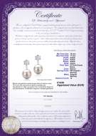 Certificato di prodotto: FW-W-AAAA-1011-E-Snow