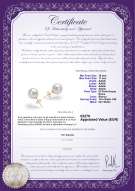Certificato di prodotto: FW-W-AAAA-1011-E