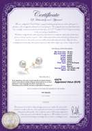 product certificate: FW-W-AAAA-1011-E