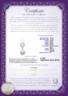 Certificato di prodotto: FW-W-AAAA-1011-P-Meredith