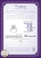  Certificato di prodotto: FW-W-AAAA-1011-R-Maddie