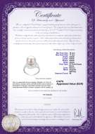 product certificate: FW-W-AAAA-1011-R-Maddie