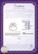  Certificato di prodotto: FW-W-AAAA-1011-R-Sheila