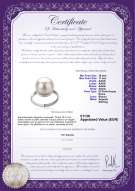 Certificato di prodotto: FW-W-AAAA-1011-R-Tindra