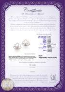 product certificate: FW-W-AAAA-556-E-Princess