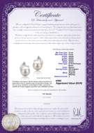 Certificato di prodotto: FW-W-AAAA-556-E-Tanita