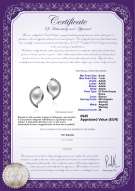 product certificate: FW-W-AAAA-67-E-Lilia